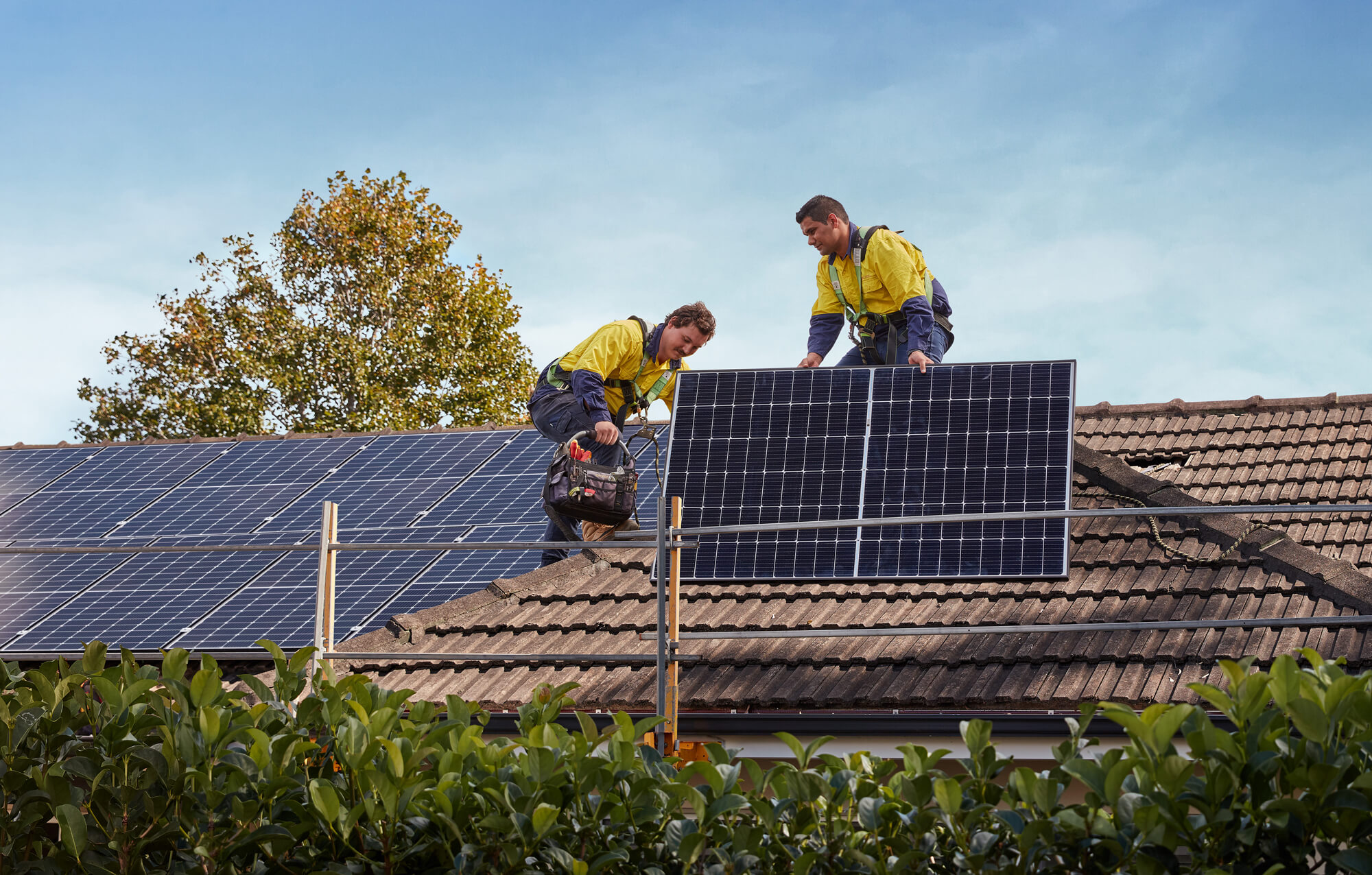 EnergyAustralia Solar Home Solar & Business Solar